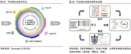 合成生物乘勢而起 顛覆傳統引領未來，軟件開發助力行業龍頭迎戴維斯雙擊