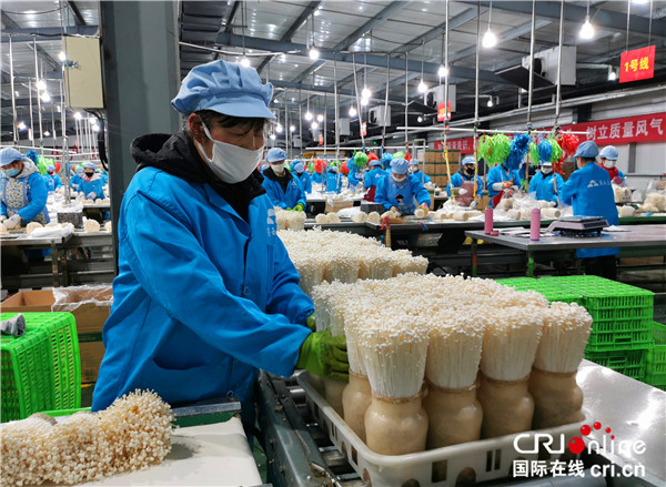 楊凌示范區 特色農業產業化與生物技術研發雙輪驅動